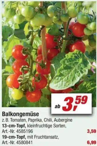 toom Baumarkt Balkongemüse Angebot