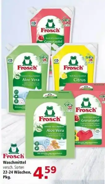 Multi Markt Frosch Waschmittel Angebot