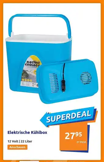 Action Elektrische Kühlbox Angebot