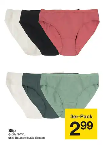 Zeeman Slip 3er Pack Angebot