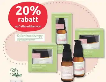 Budni Spilanthox therapy Angebot