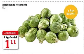 Globus Niederlande Rosenkohl Angebot