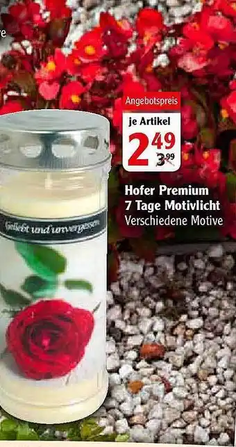 Globus Hofer Premium 7 Tage Motivlicht Angebot