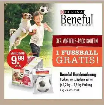 V Markt Beneful Hundenahrung trocken 4,2kg-4,5kg Angebot