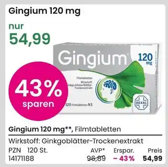 REWE Hexal gingium 120 mg Angebot