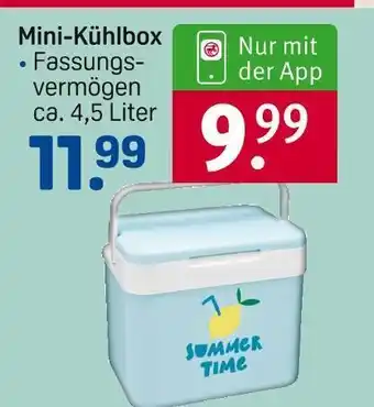 Rossmann Mini-kühlbox Angebot