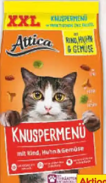 Netto Marken-Discount Katzennahrung XXL Angebot