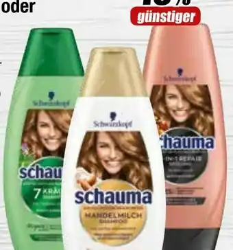 Edeka Schauma Shampoo Angebot