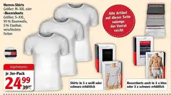 Globus Herren-Shirts Angebot