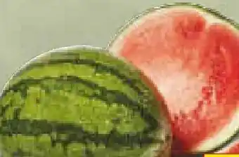 Netto Marken-Discount Mini-Wassermelone Angebot