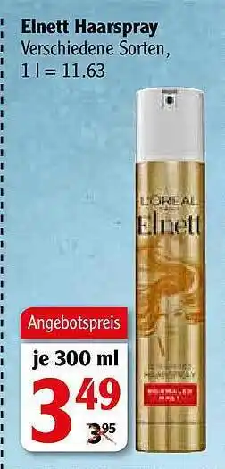 Globus Elnett Haarspray Angebot