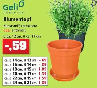 Thomas Philipps Geli Blumentopf Angebot