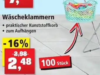 Thomas Philipps Wäscheklammern 100 Stück Angebot