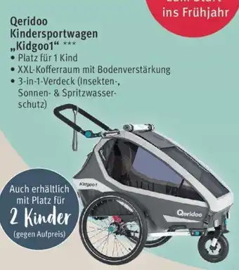 Rossmann Qeridoo Kindersportwagen ,,Kidgoo1" Angebot