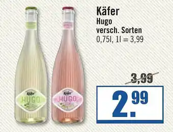 Zisch Käfer Hugo Angebot