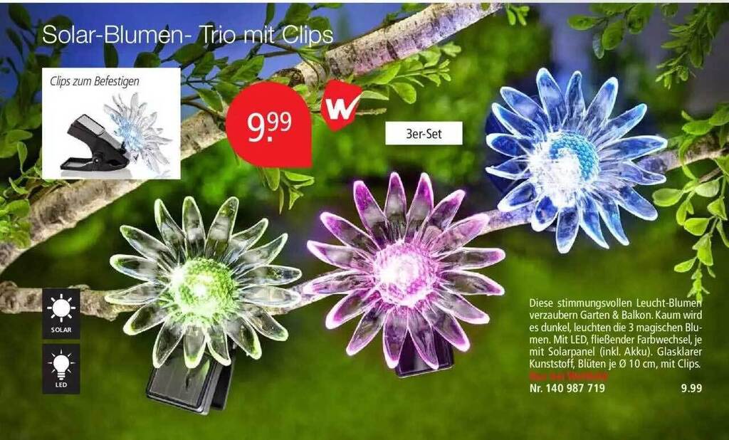 Solarblumen Trio Mit Clips Angebot bei Weltbild