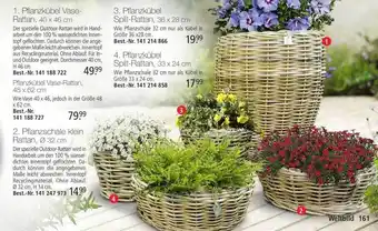 Weltbild Pflanzkübel Vase-rattan, Split-rattan Oder Pflanzschale Klein Rattan Angebot