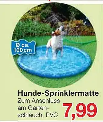 Jawoll Hunde-sprinklermatte Angebot