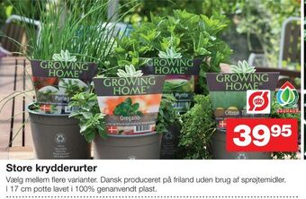 Bauhaus Store krydderurter tilbud