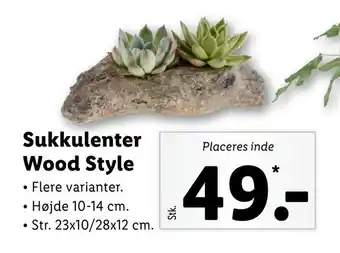 Lidl Sukkulenter Wood Style tilbud