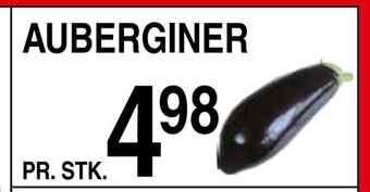 Auberginer