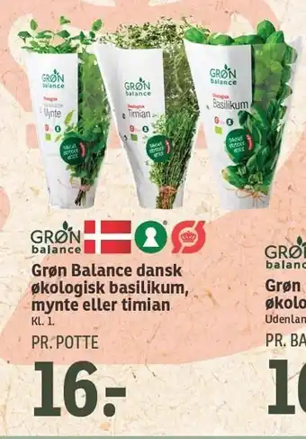 SPAR Grøn Balance dansk økologisk basilikum, mynte el. timian tilbud