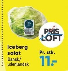 Iceberg salat