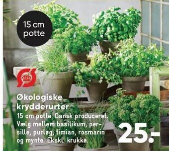 Bilka Økologiske krydderurter tilbud