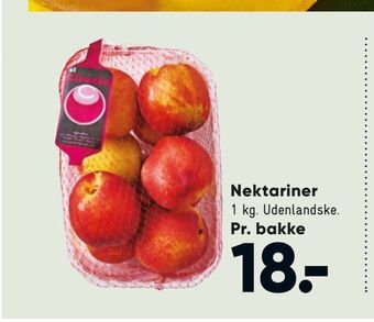 Nektariner