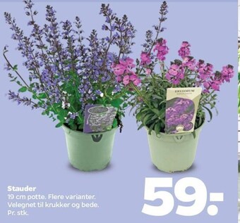 Netto Stauder tilbud