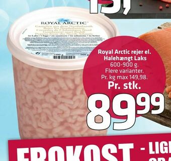 Royal Arctic rejer el. Halehængt Laks