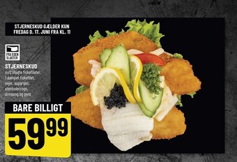 Løvbjerg Stjerneskud tilbud