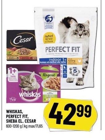 Løvbjerg Whiskas, Perfect Fit, Sheba el. Cesar tilbud