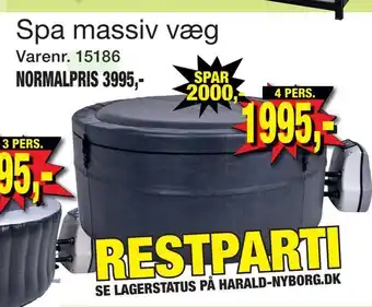 Harald Nyborg Spa massiv væg tilbud