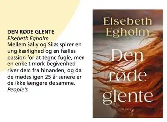 Den røde glente