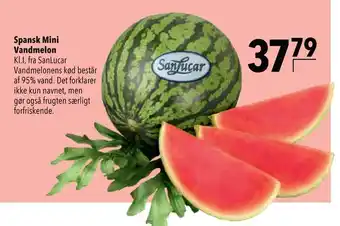 Spansk Mini Vandmelon