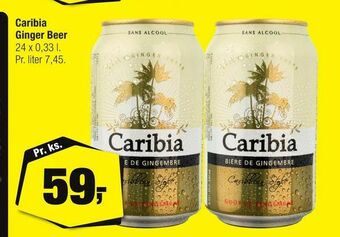 Calle Caribia Ginger Beer tilbud