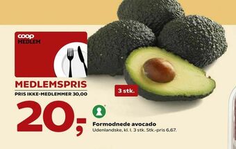 Formodnede avocado