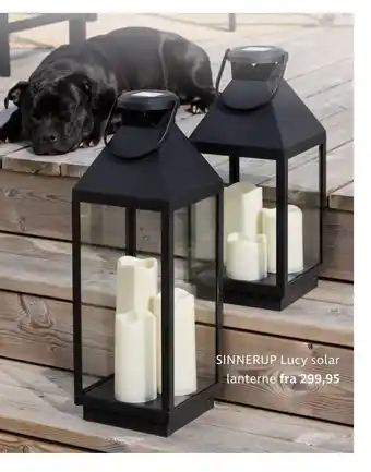Sinnerup SINNERUP Lucy solar lanterne tilbud