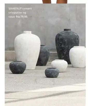 SINNERUP cement urtepotter og vaser