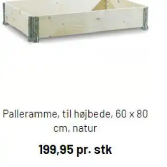 Palleramme til højbede