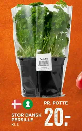 MENY Stor dansk persille tilbud