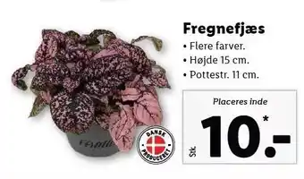 Lidl Fregnefjæs tilbud