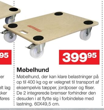 Møbelhund