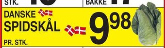 Spidskål