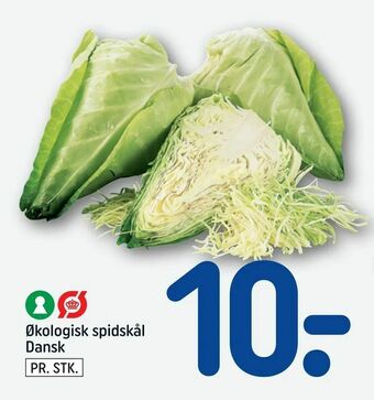 REMA 1000 Økologisk spidskål tilbud