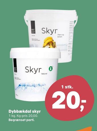 Dybbækdal skyr