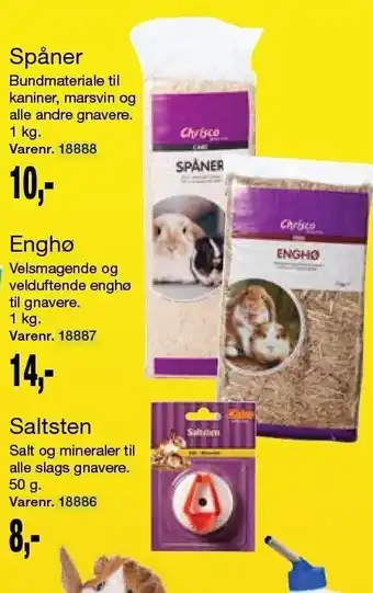 Spåner, Enghø el. Saltsten