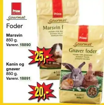 Foder til marsvin, kaniner og gnavere