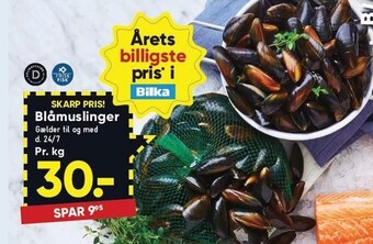 Blåmuslinger